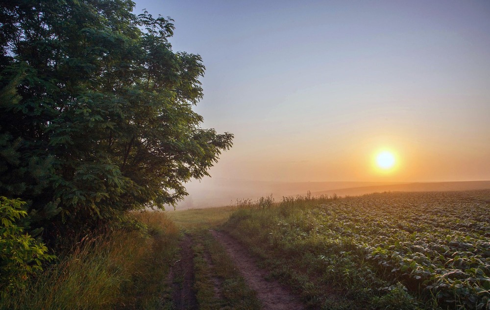 Фотографія +++ / Леонід Скоблунов / photographers.ua