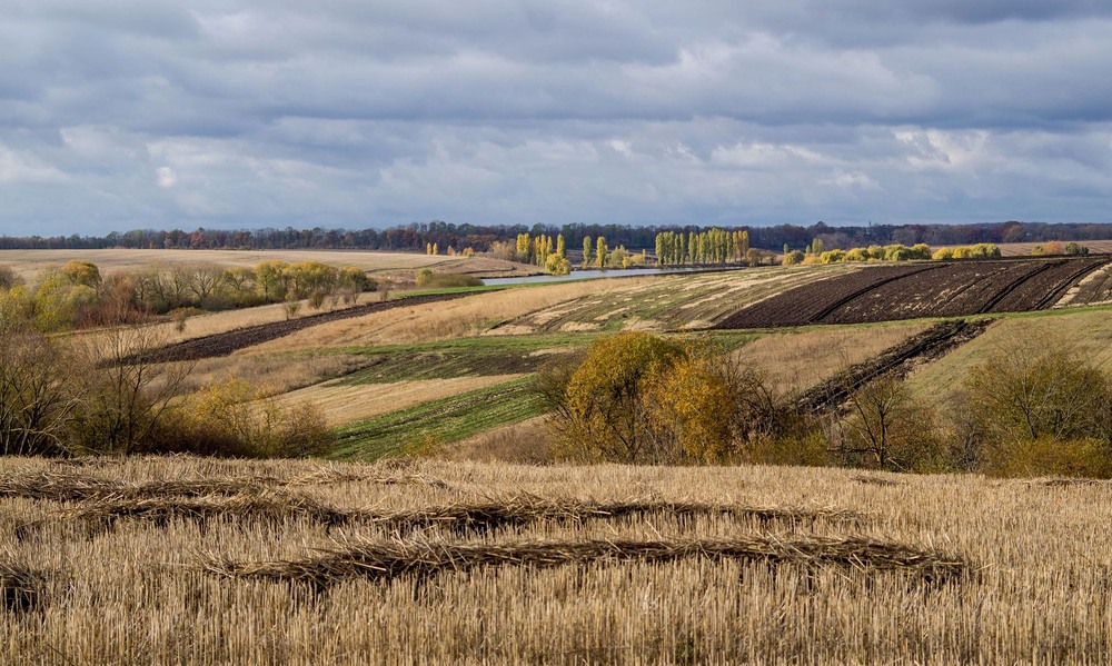 Фотографія +++ / Леонід Скоблунов / photographers.ua