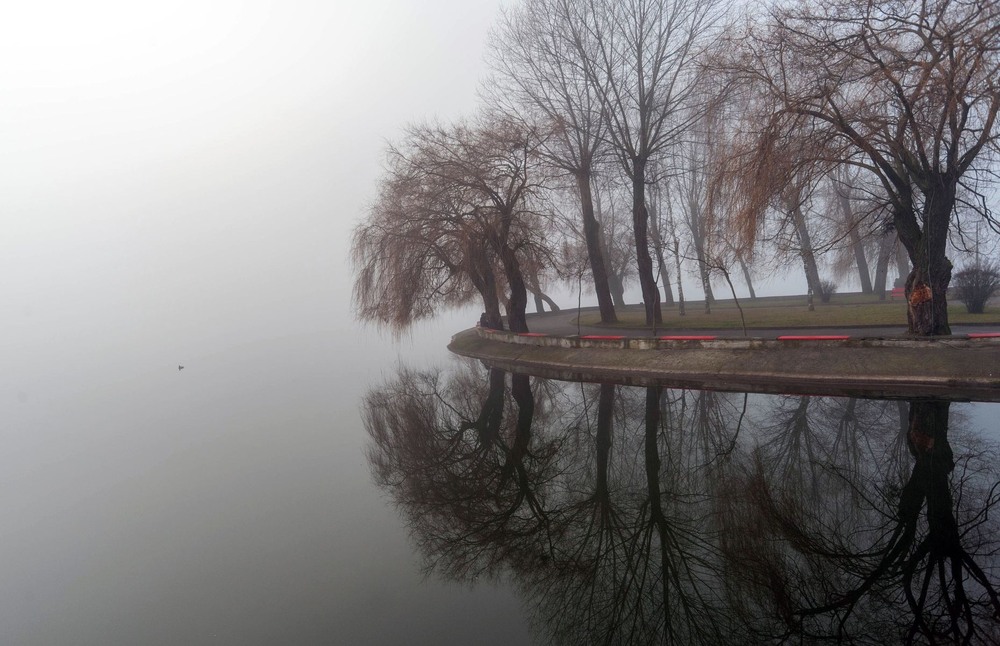 Фотографія +++ / Леонід Скоблунов / photographers.ua