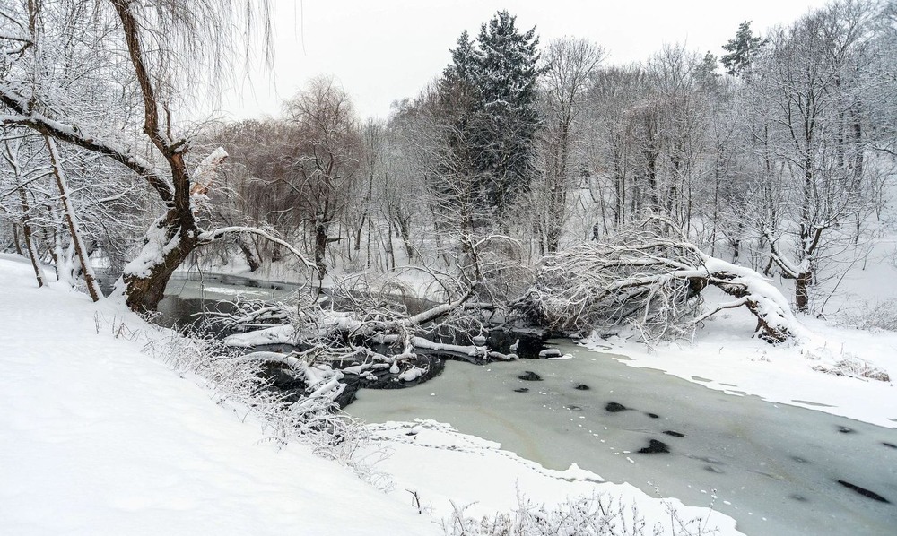 Фотографія +++ / Леонід Скоблунов / photographers.ua
