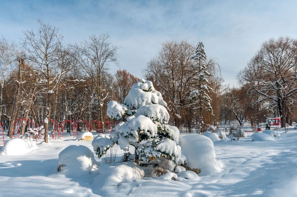 Фотографія +++ / Леонід Скоблунов / photographers.ua