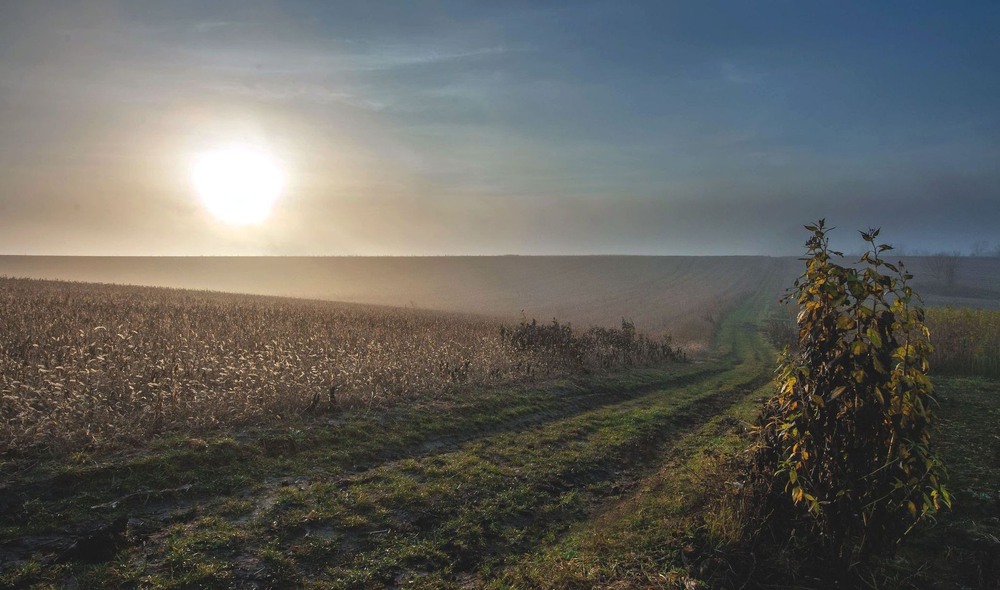Фотографія +++ / Леонід Скоблунов / photographers.ua
