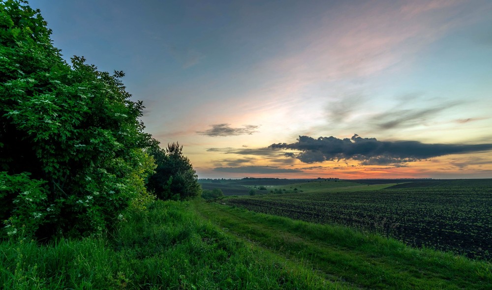 Фотографія +++ / Леонід Скоблунов / photographers.ua