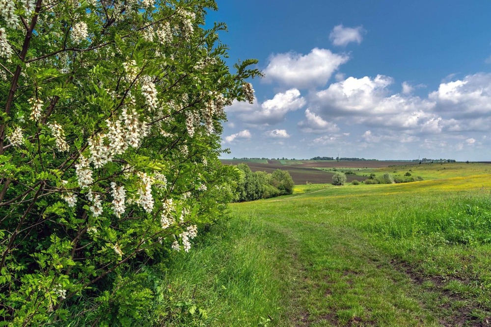 Фотографія +++ / Леонід Скоблунов / photographers.ua