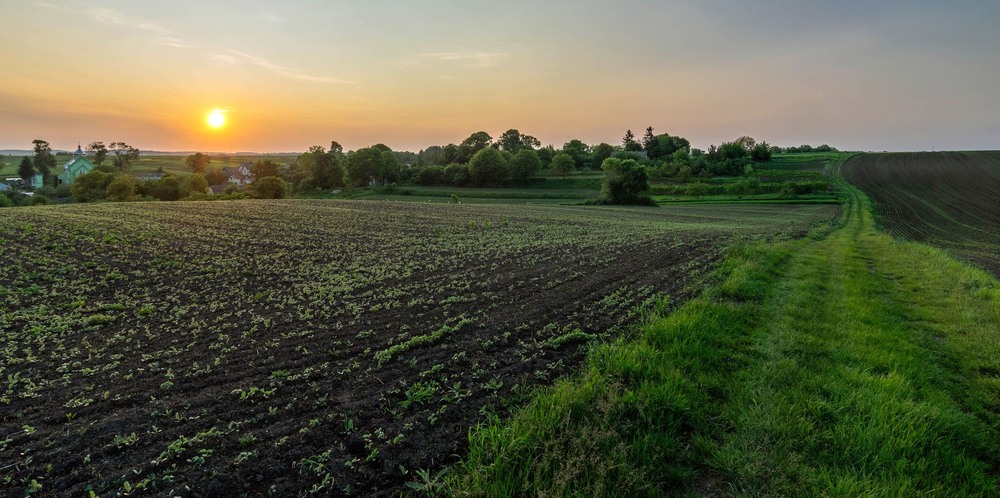 Фотографія +++ / Леонід Скоблунов / photographers.ua
