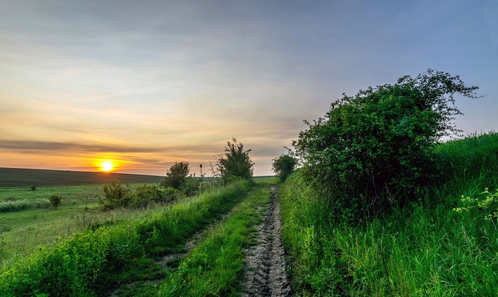 Фотографія Край неба палає... / Леонід Скоблунов / photographers.ua