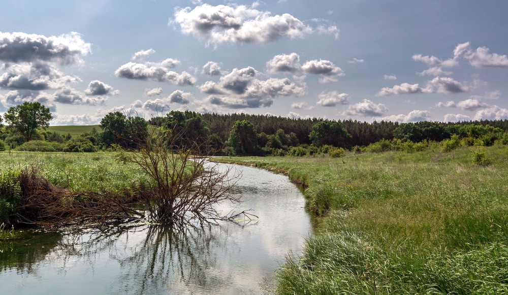 Фотографія +++ / Леонід Скоблунов / photographers.ua