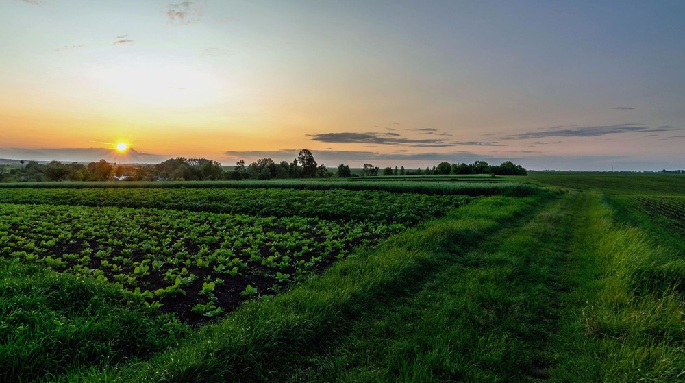 Фотографія +++ / Леонід Скоблунов / photographers.ua