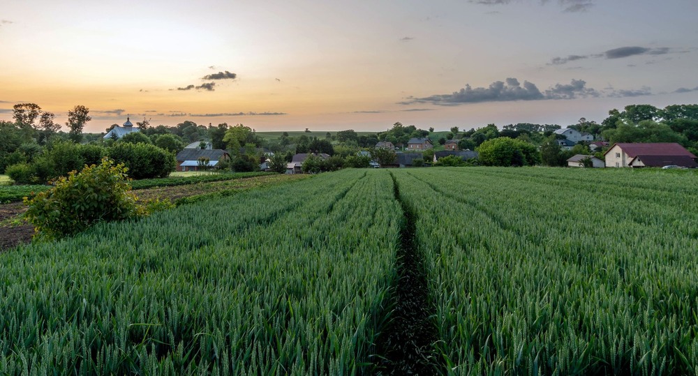 Фотографія +++ / Леонід Скоблунов / photographers.ua
