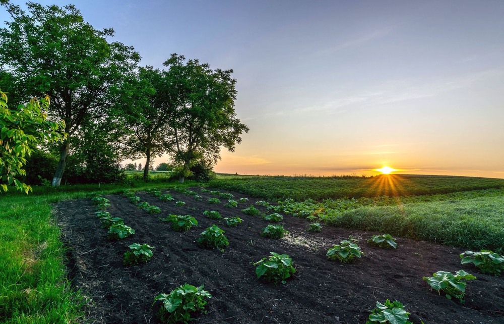 Фотографія +++ / Леонід Скоблунов / photographers.ua