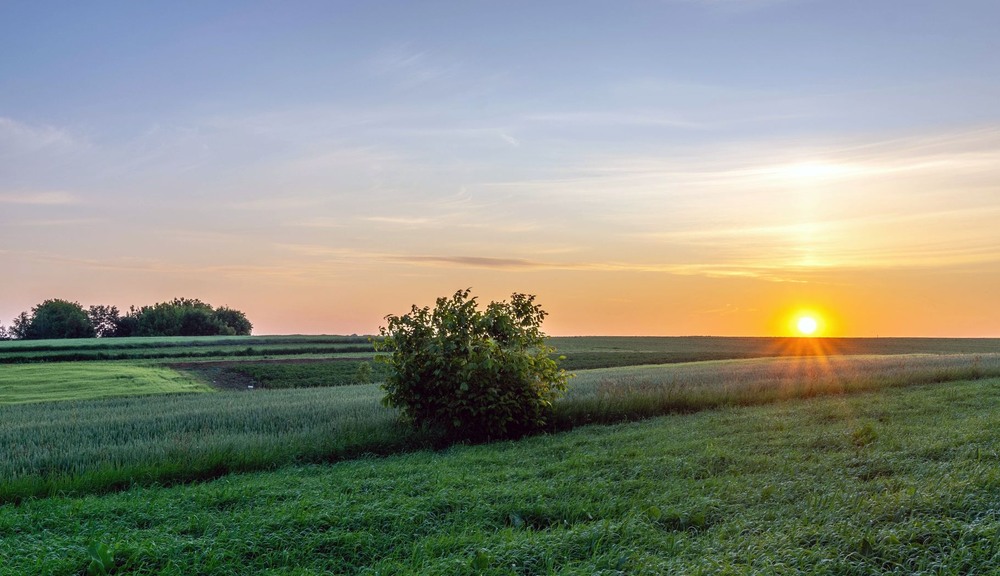 Фотографія +++ / Леонід Скоблунов / photographers.ua