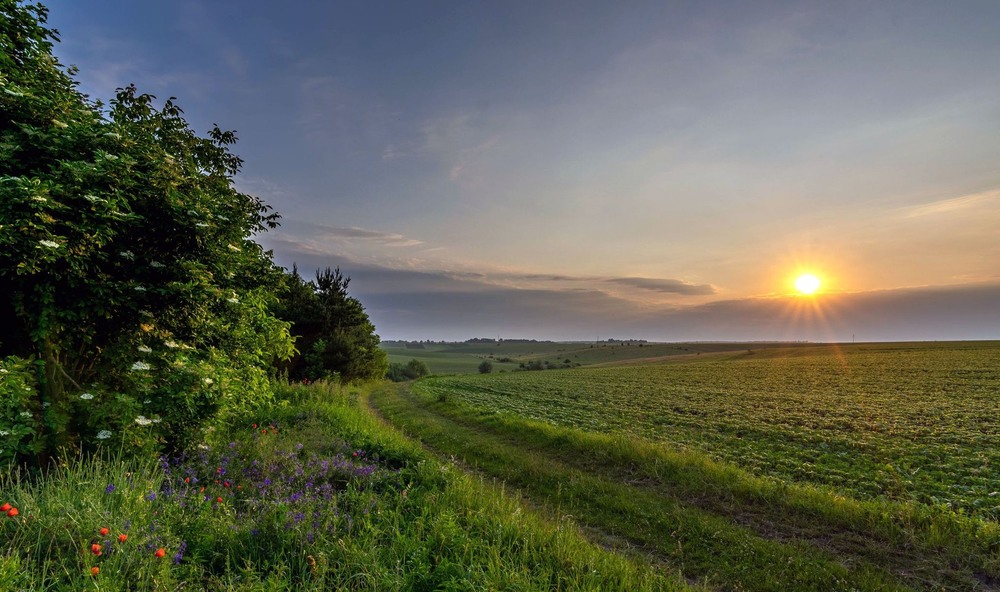 Фотографія +++ / Леонід Скоблунов / photographers.ua