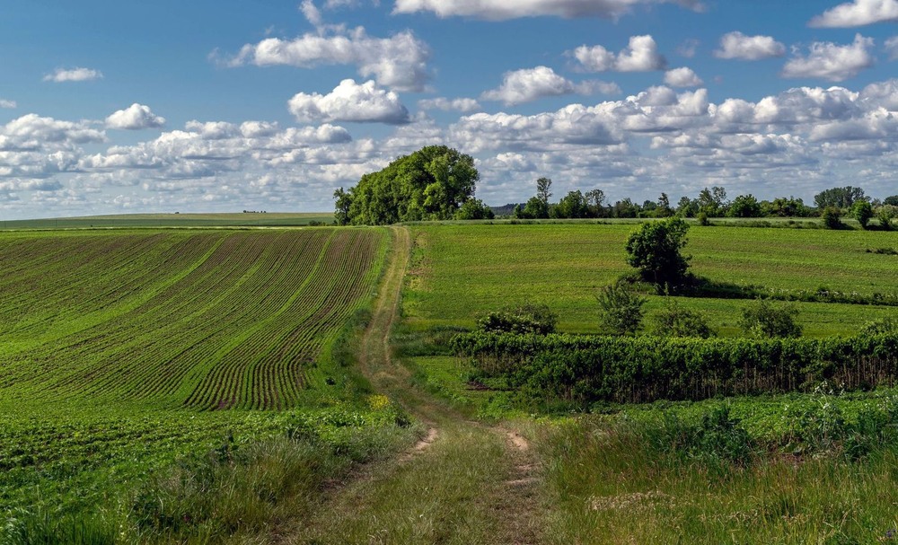 Фотографія +++ / Леонід Скоблунов / photographers.ua
