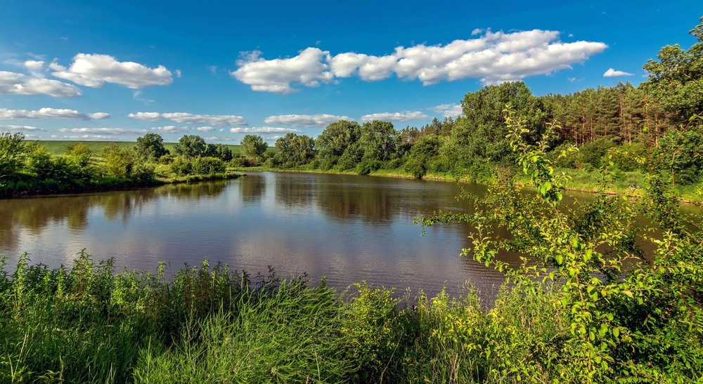 Фотографія +++ / Леонід Скоблунов / photographers.ua