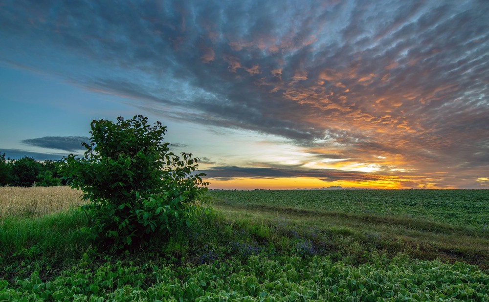 Фотографія Край неба палає... / Леонід Скоблунов / photographers.ua
