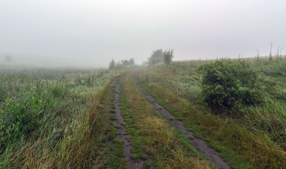 Фотографія +++ / Леонід Скоблунов / photographers.ua