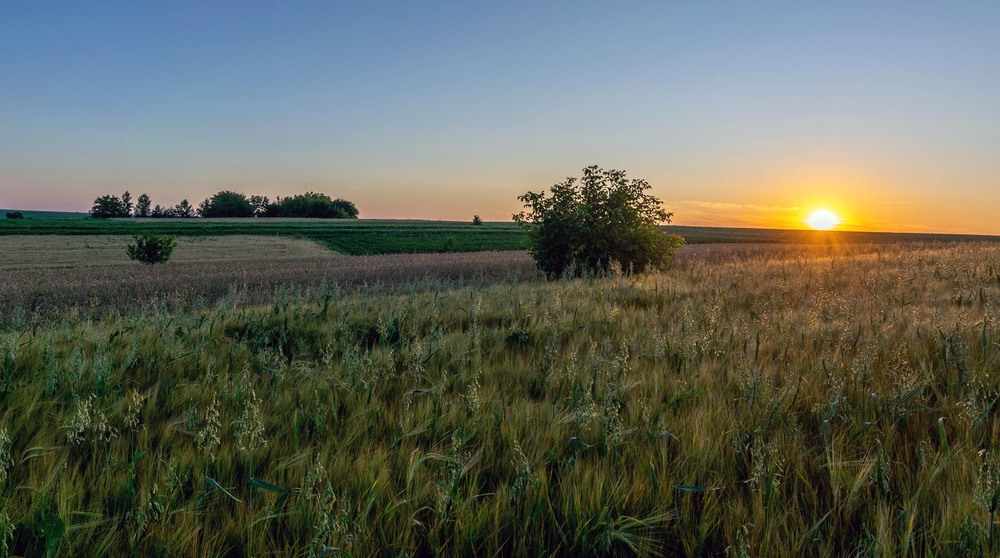 Фотографія +++ / Леонід Скоблунов / photographers.ua
