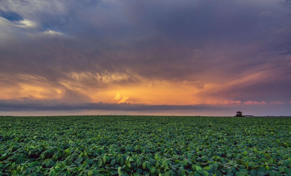 Фотографія Замальовкі неба / Леонід Скоблунов / photographers.ua