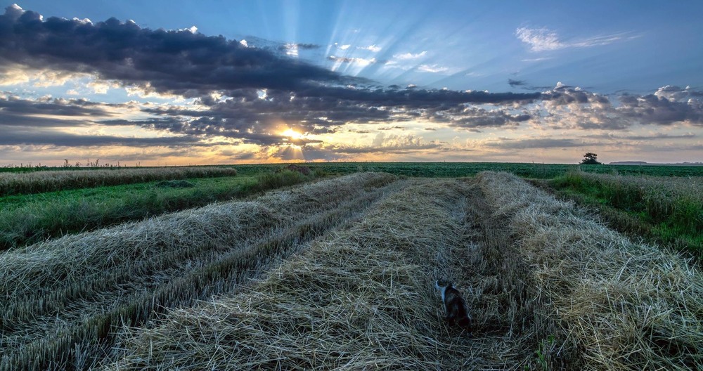 Фотографія +++ / Леонід Скоблунов / photographers.ua