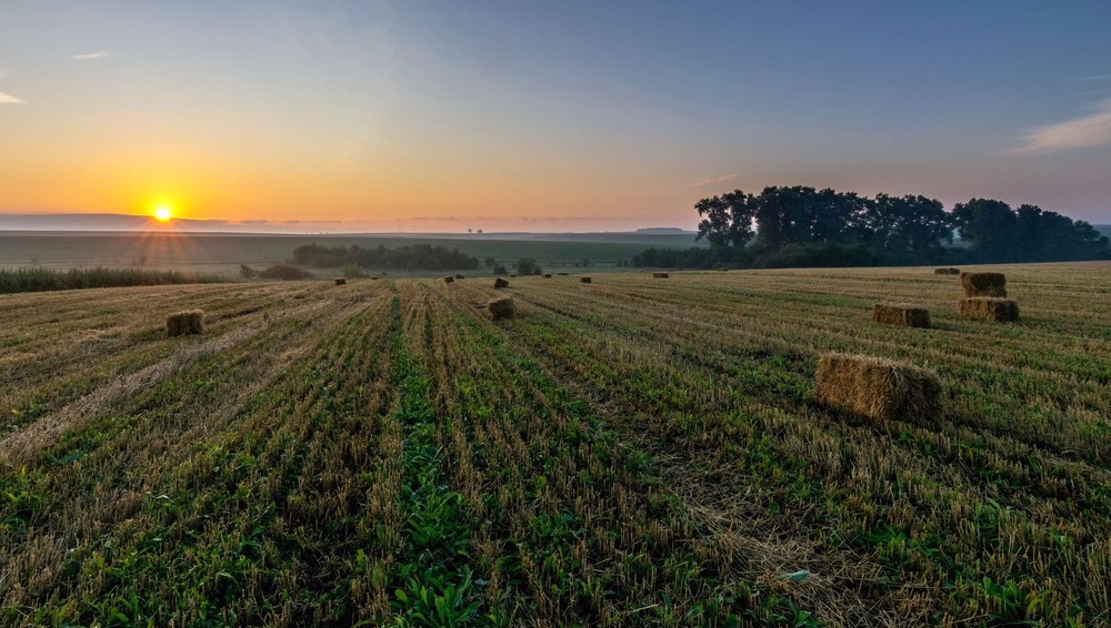 Фотографія +++ / Леонід Скоблунов / photographers.ua