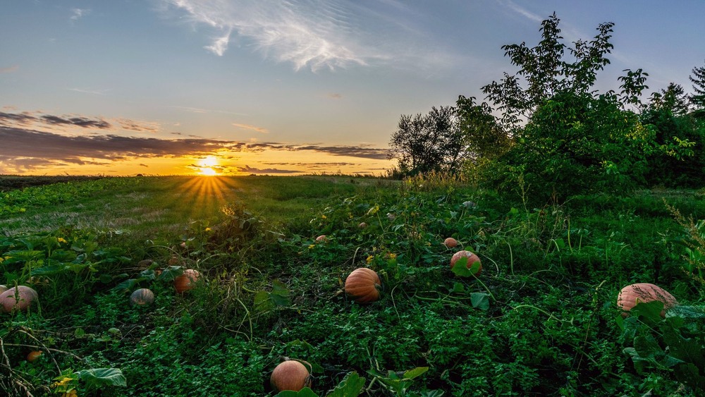 Фотографія +++ / Леонід Скоблунов / photographers.ua