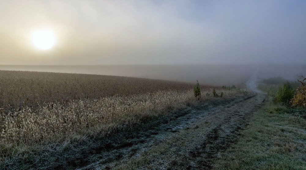 Фотографія Осінній туман! / Леонід Скоблунов / photographers.ua