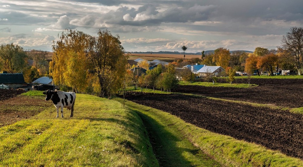 Фотографія +++ / Леонід Скоблунов / photographers.ua