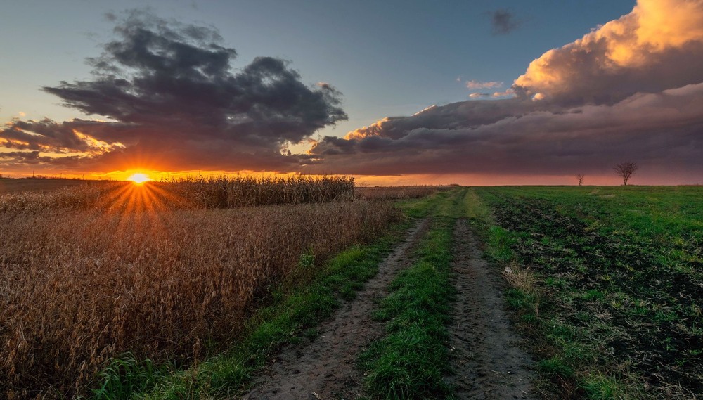 Фотографія +++ / Леонід Скоблунов / photographers.ua