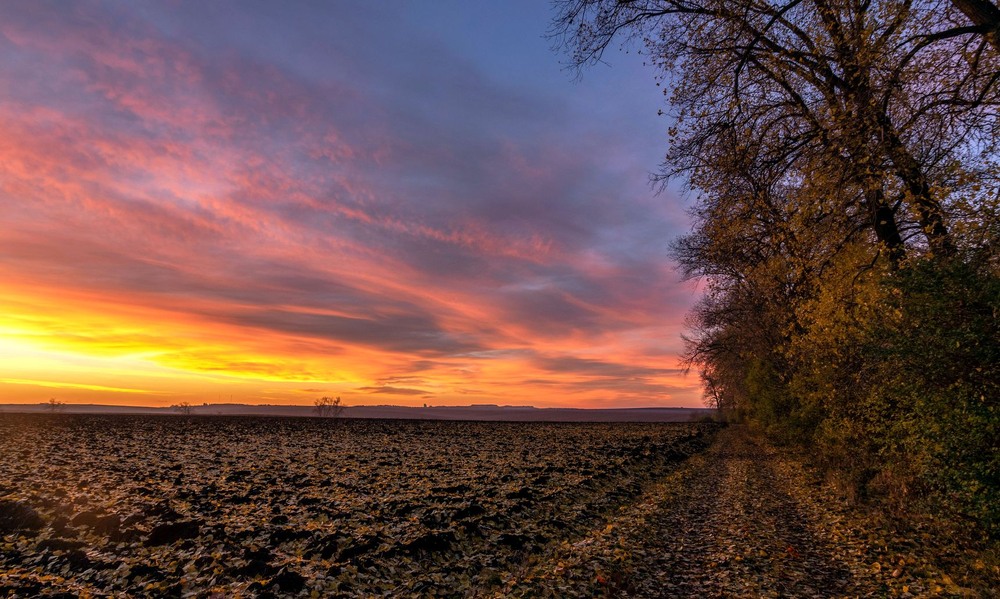 Фотографія +++ / Леонід Скоблунов / photographers.ua