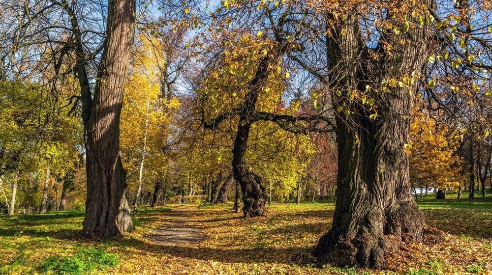 Фотографія +++ / Леонід Скоблунов / photographers.ua