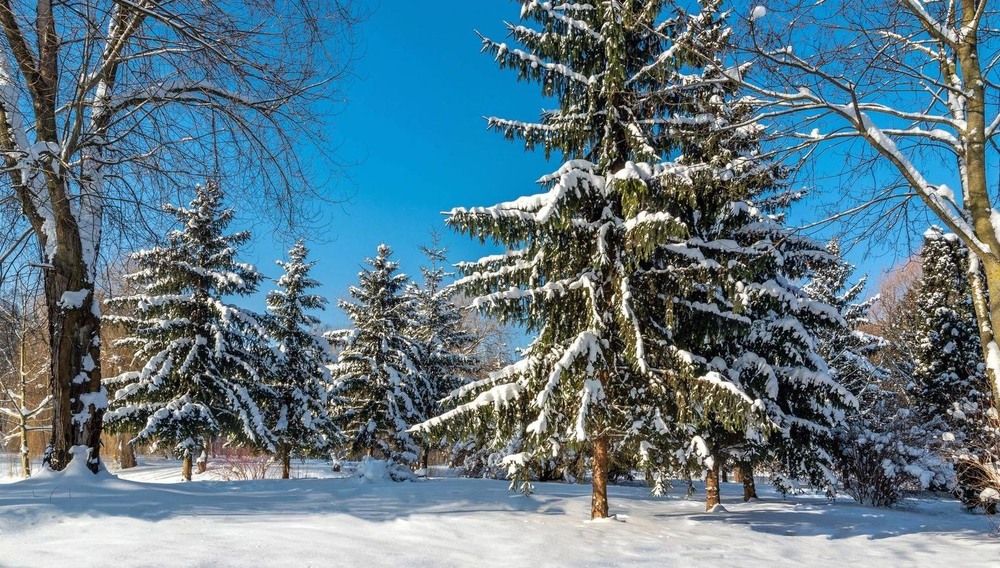 Фотографія +++ / Леонід Скоблунов / photographers.ua