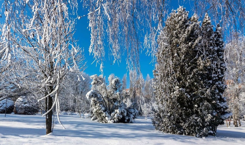 Фотографія +++ / Леонід Скоблунов / photographers.ua