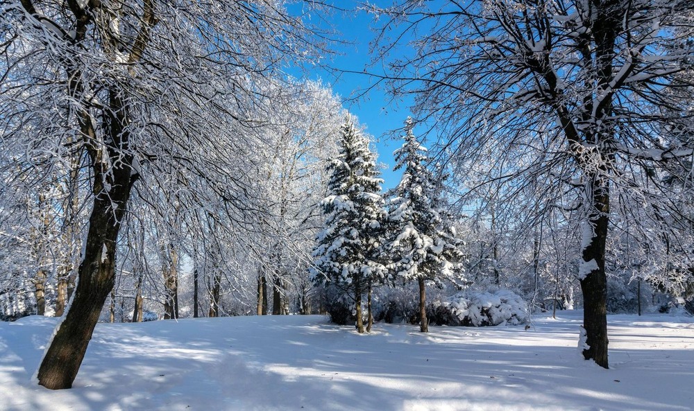 Фотографія +++ / Леонід Скоблунов / photographers.ua