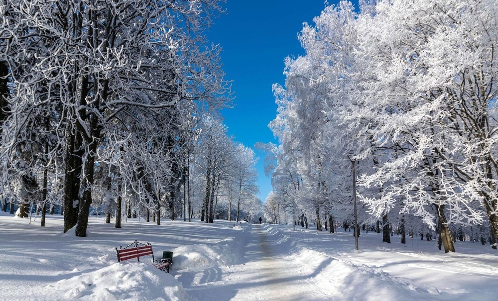 Фотографія +++ / Леонід Скоблунов / photographers.ua