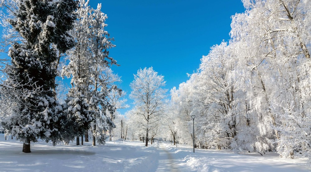 Фотографія +++ / Леонід Скоблунов / photographers.ua