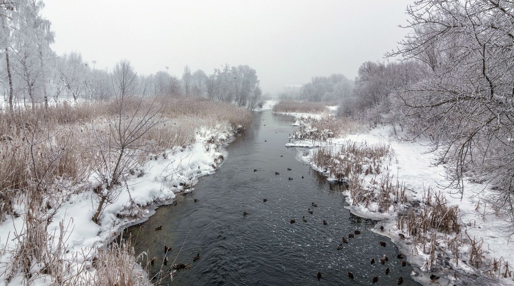 Фотографія +++ / Леонід Скоблунов / photographers.ua