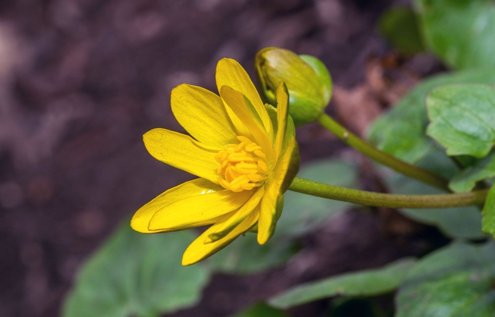 Фотографія +++ / Леонід Скоблунов / photographers.ua
