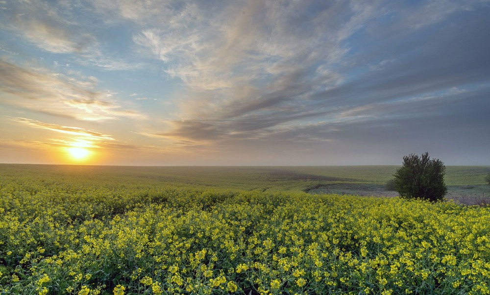 Фотографія +++ / Леонід Скоблунов / photographers.ua
