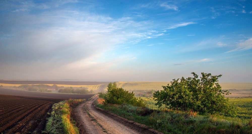 Фотографія +++ / Леонід Скоблунов / photographers.ua
