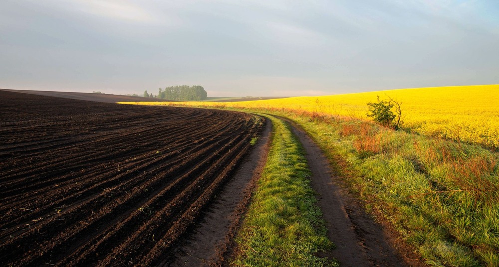 Фотографія +++ / Леонід Скоблунов / photographers.ua