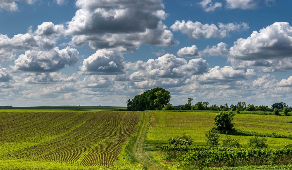 Фотографія +++ / Леонід Скоблунов / photographers.ua