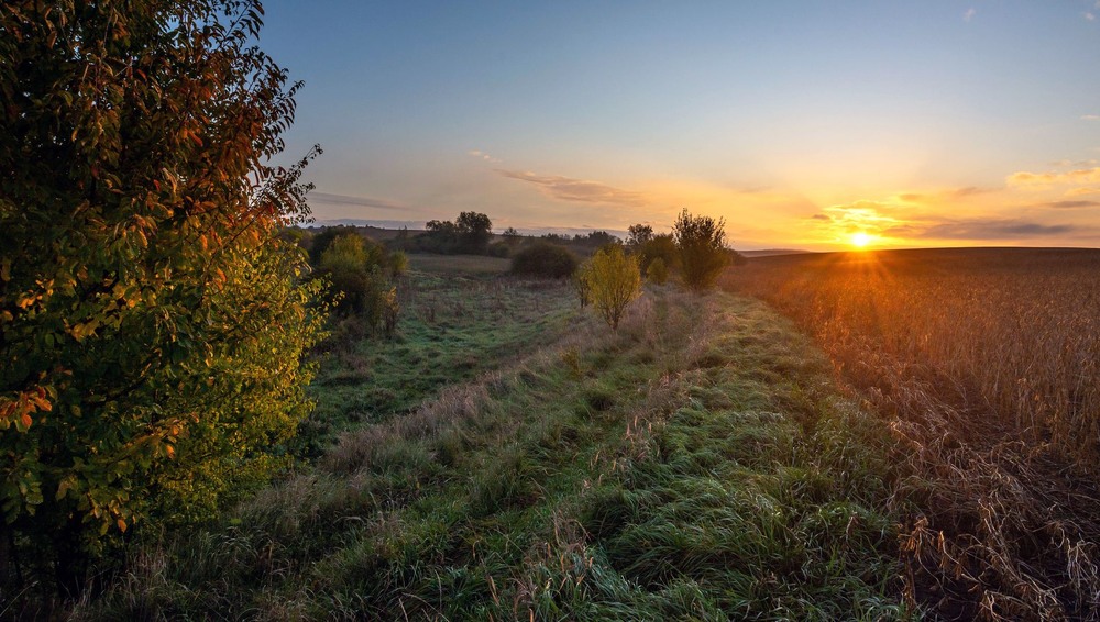 Фотографія Осіннім ранком. / Леонід Скоблунов / photographers.ua