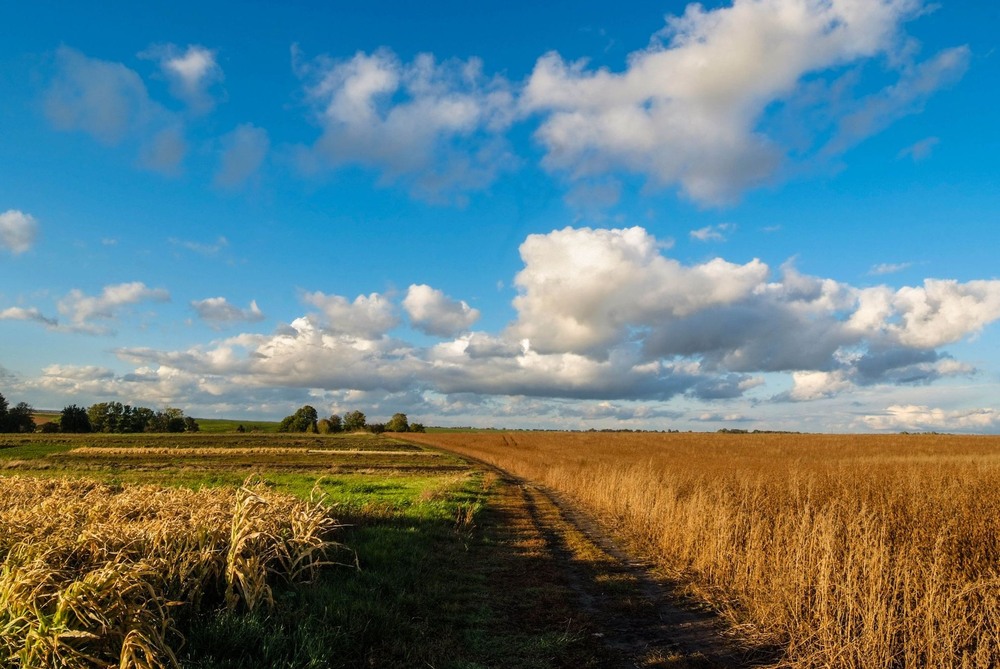 Фотографія +++ / Леонід Скоблунов / photographers.ua