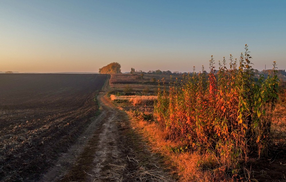 Фотографія +++ / Леонід Скоблунов / photographers.ua