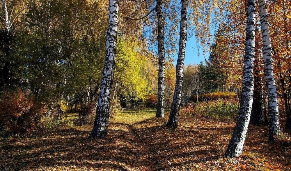 Фотографія +++ / Леонід Скоблунов / photographers.ua