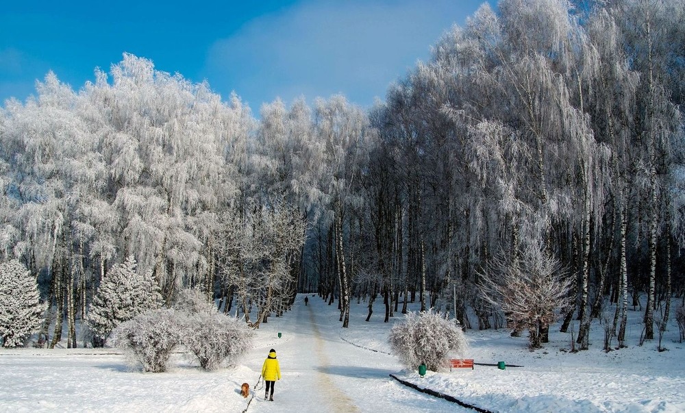 Фотографія +++ / Леонід Скоблунов / photographers.ua