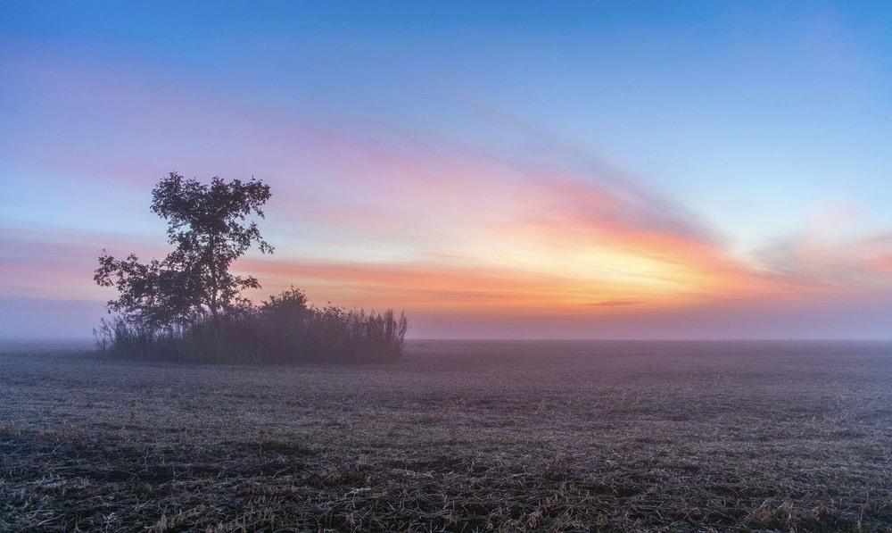 Фотографія +++ / Леонід Скоблунов / photographers.ua