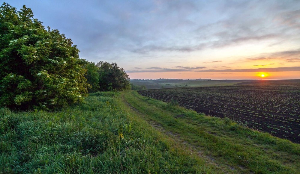 Фотографія +++ / Леонід Скоблунов / photographers.ua