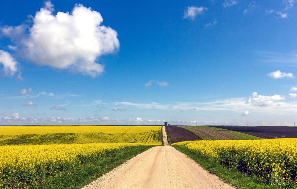 Фотографія +++ / Леонід Скоблунов / photographers.ua