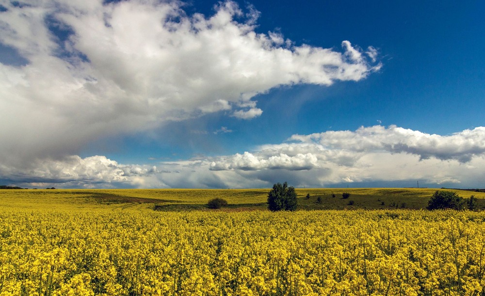 Фотографія +++ / Леонід Скоблунов / photographers.ua